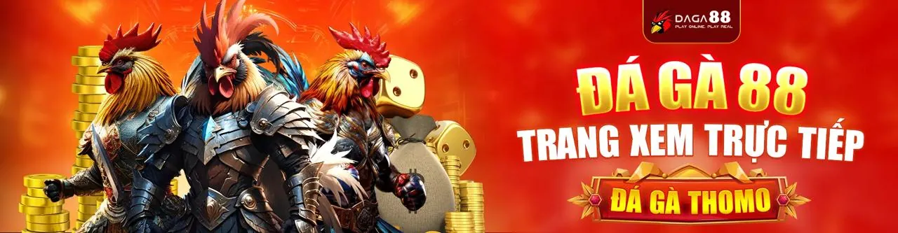 Trực Tiếp Đá Gà CPC3 Hấp Dẫn